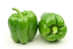 Grüne Paprika 1000 g